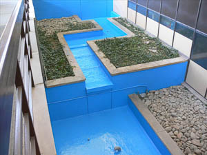DYNA-PUR Brushable Polyurea on Water Feature Substrate