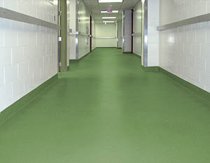DYNA-PUR Brushable Polyurea used on Commercial Floor
